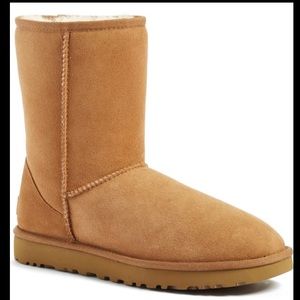 Classic UGG slippers